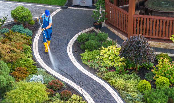 Best Roof Power Washing Services  in Silver Grove, KY